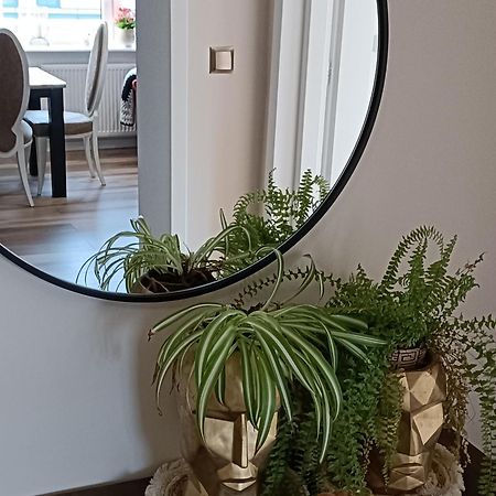 Apartamenty Holender House Choczewo ภายนอก รูปภาพ