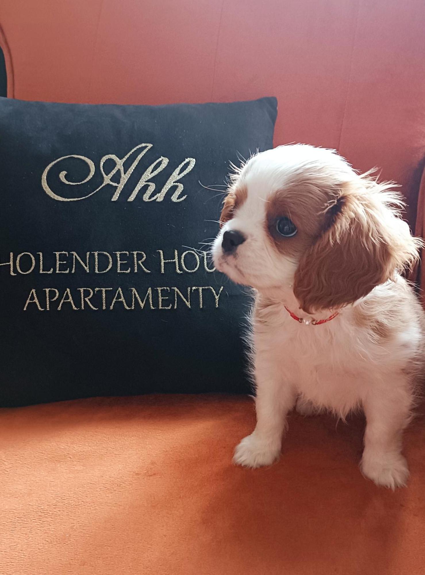 Apartamenty Holender House Choczewo ภายนอก รูปภาพ